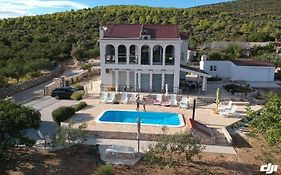 Apartment Olea